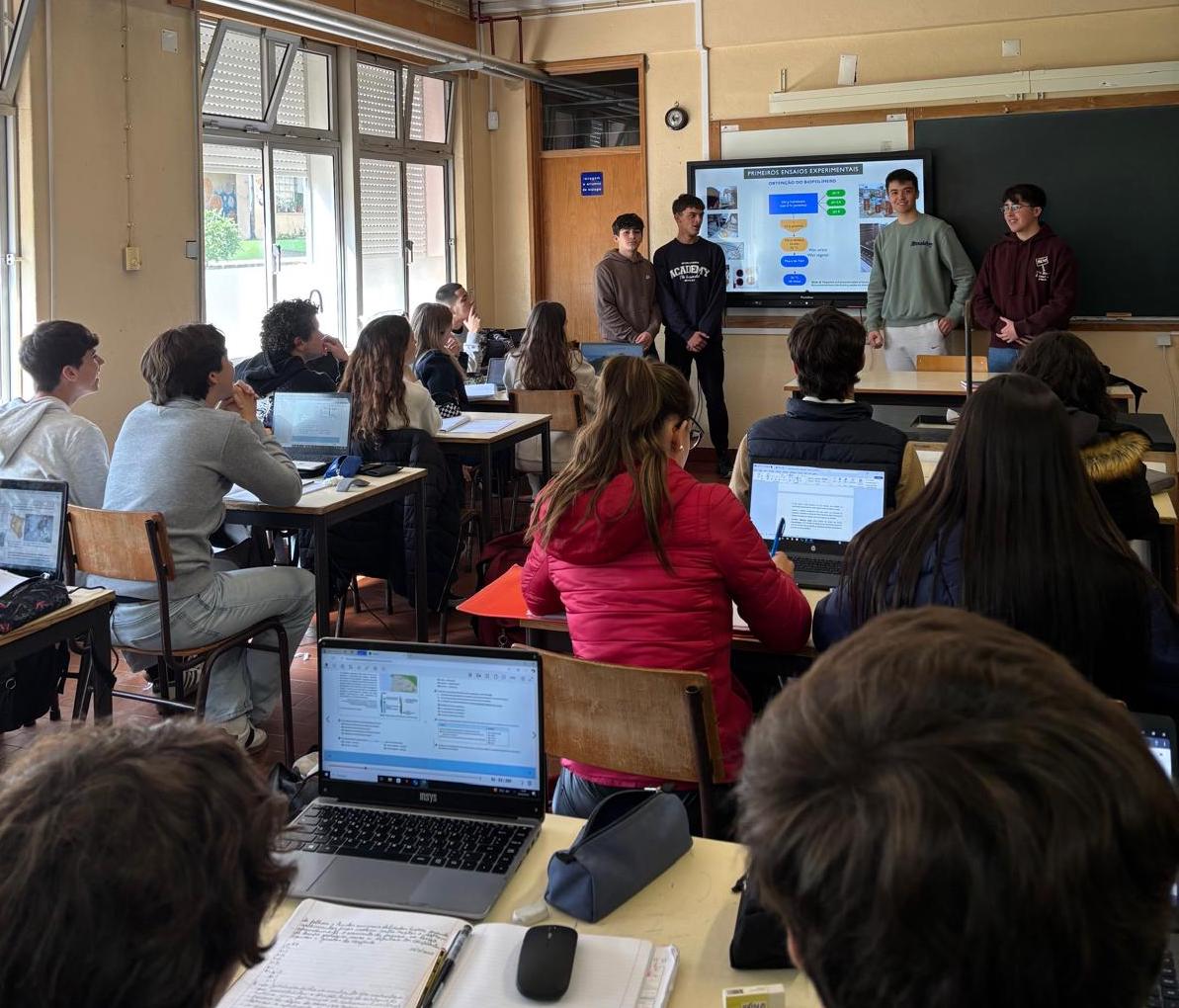 Apresentação do projeto à turma e partilha de ideias sobre a via investigativa desenvolvida