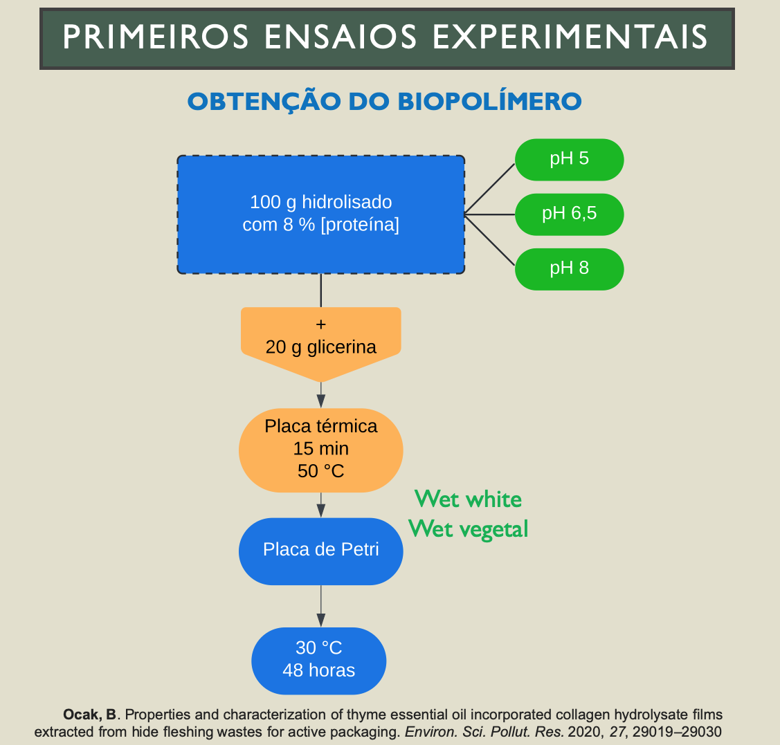Planificação dos primeiros ensaios experimentais
